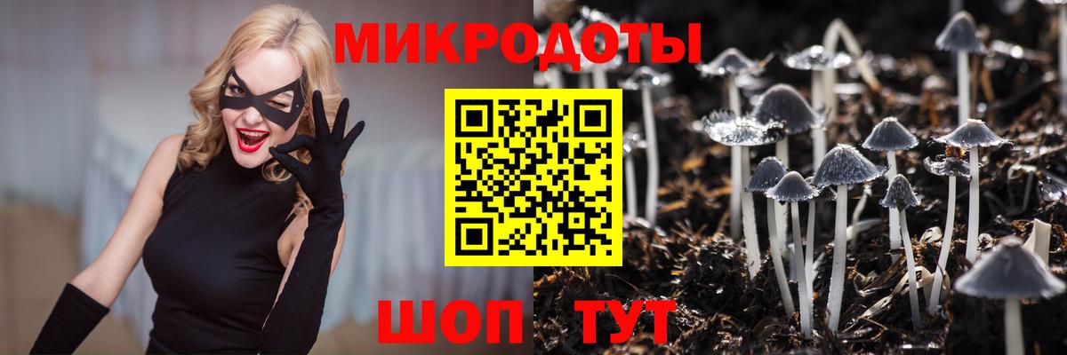 Борзя  Галлюциногенные грибы ЛСД  Вход с VPN  что такое наркотик  Псилоцибиновые грибы мицелий 
