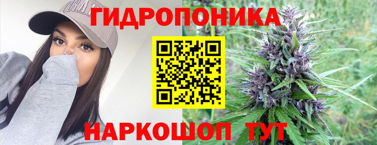 Бошки марихуана Bruce Banner Борзя
